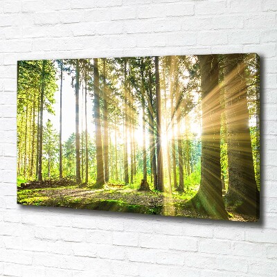 Cuadro canvas moderno de gran formato horizontal Bosque al sol