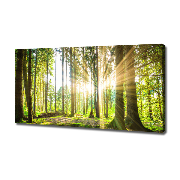 Cuadro canvas moderno de gran formato horizontal Bosque al sol