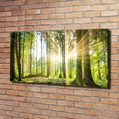 Cuadro canvas moderno de gran formato horizontal Bosque al sol