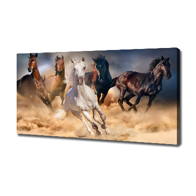 Fotocuadro en lienzo de alta calidad horizontal Caballos al galope