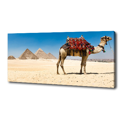 Cuadro canvas con impresión uv duradera horizontal Camello en El Cairo