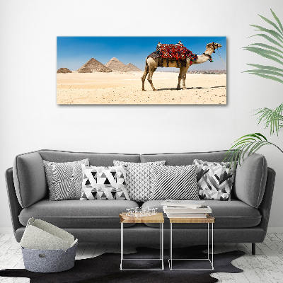 Cuadro canvas con impresión uv duradera horizontal Camello en El Cairo
