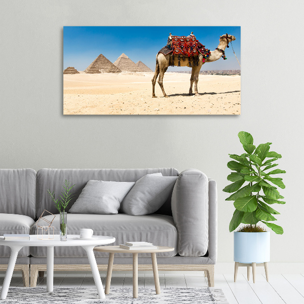 Cuadro canvas con impresión uv duradera horizontal Camello en El Cairo