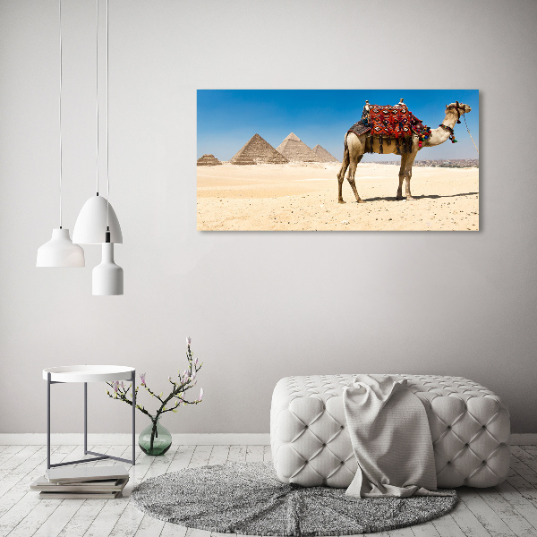 Cuadro canvas con impresión uv duradera horizontal Camello en El Cairo