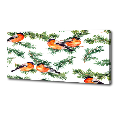 Cuadro canvas con impresión uv duradera horizontal Petirrojo en una conífera