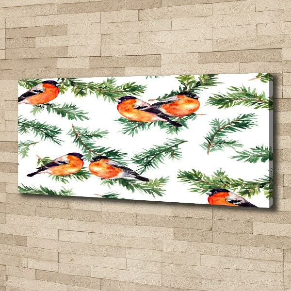 Cuadro canvas con impresión uv duradera horizontal Petirrojo en una conífera