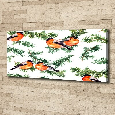 Cuadro canvas con impresión uv duradera horizontal Petirrojo en una conífera