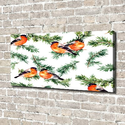Cuadro canvas con impresión uv duradera horizontal Petirrojo en una conífera