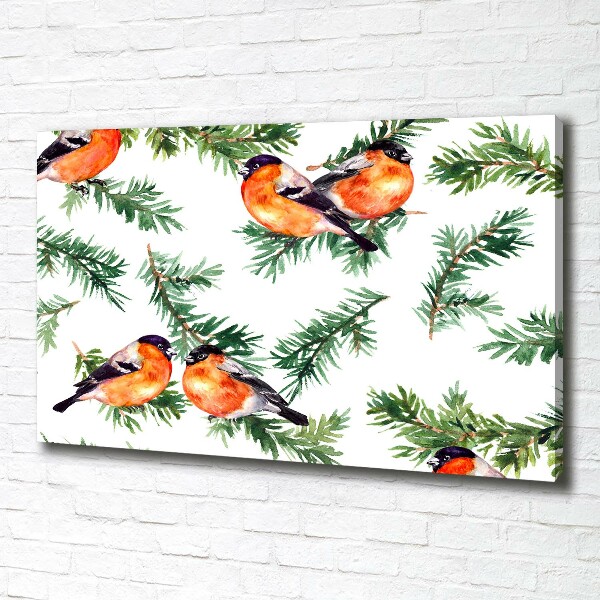 Cuadro canvas con impresión uv duradera horizontal Petirrojo en una conífera