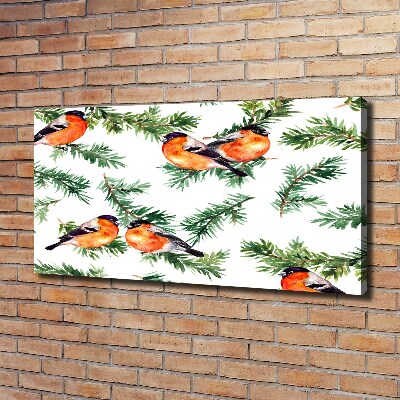 Cuadro canvas con impresión uv duradera horizontal Petirrojo en una conífera