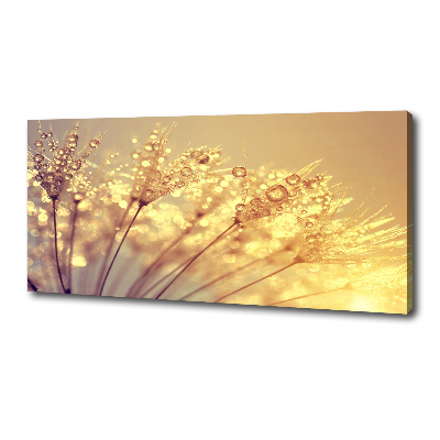Cuadro canvas con impresión uv duradera horizontal semillas de diente de león