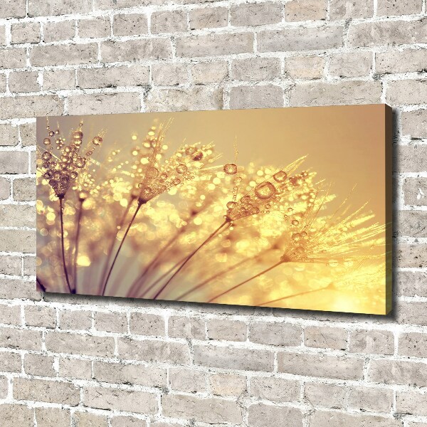 Cuadro canvas con impresión uv duradera horizontal semillas de diente de león