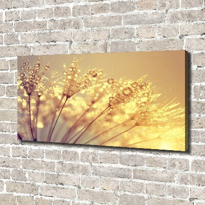 Cuadro canvas con impresión uv duradera horizontal semillas de diente de león