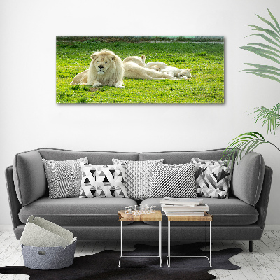 Cuadro canvas moderno de gran formato horizontal Leones beige