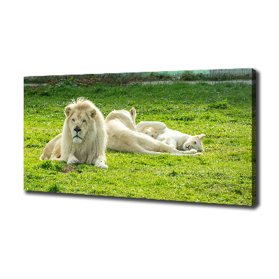 Cuadro canvas moderno de gran formato horizontal Leones beige