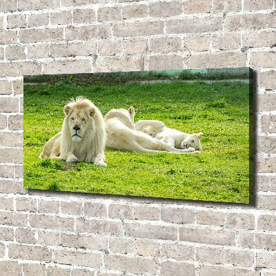 Cuadro canvas moderno de gran formato horizontal Leones beige
