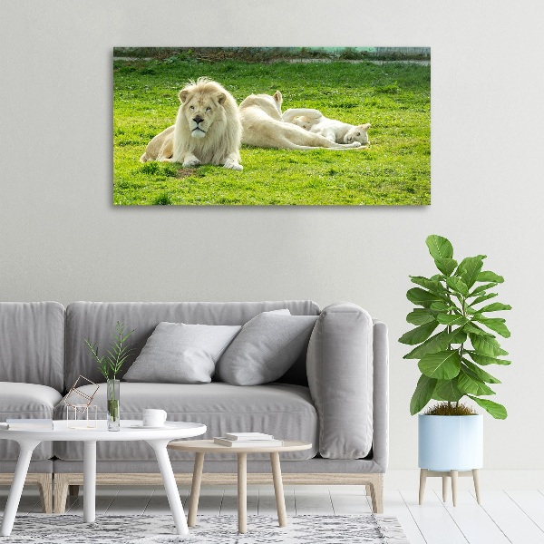 Cuadro canvas moderno de gran formato horizontal Leones beige