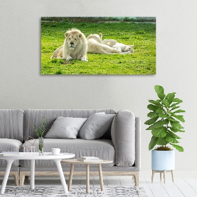 Cuadro canvas moderno de gran formato horizontal Leones beige