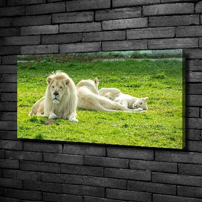 Cuadro canvas moderno de gran formato horizontal Leones beige