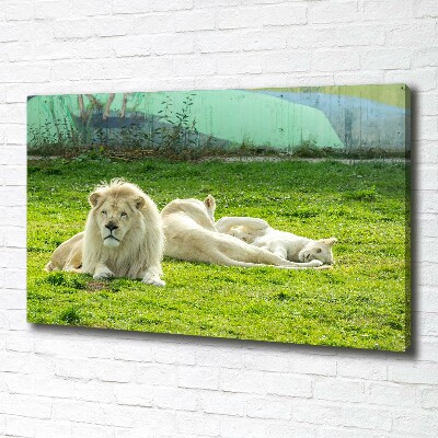 Cuadro canvas moderno de gran formato horizontal Leones beige