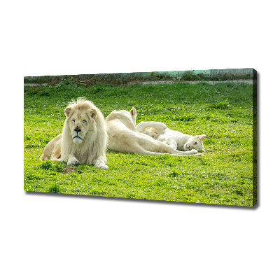 Cuadro canvas moderno de gran formato horizontal Leones beige