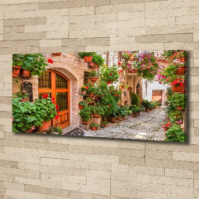 Fotocuadro en lienzo de alta calidad horizontal Una calle con encanto
