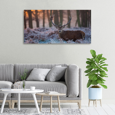 Fotocuadro en lienzo de alta calidad horizontal Ciervos al amanecer