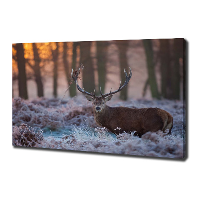 Fotocuadro en lienzo de alta calidad horizontal Ciervos al amanecer