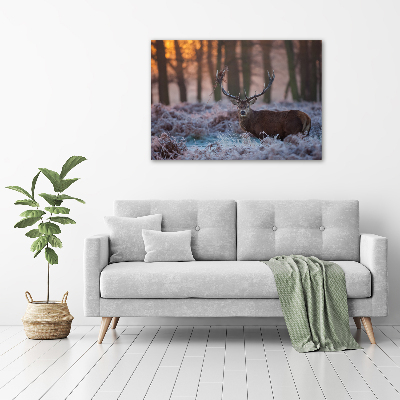 Foto obraz na płótnie Jeleń o wschodzie