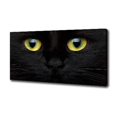 Cuadro canvas con impresión uv duradera horizontal ojos de gato