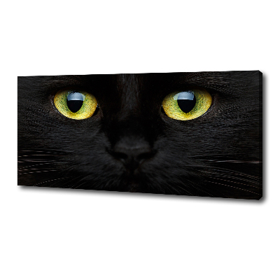 Cuadro canvas con impresión uv duradera horizontal ojos de gato