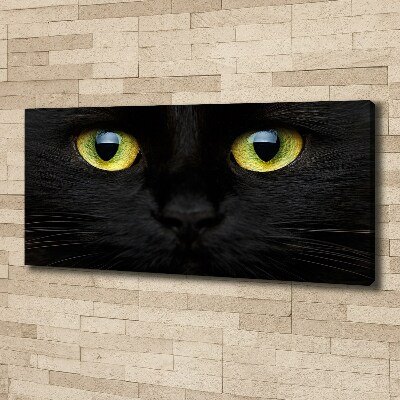 Cuadro canvas con impresión uv duradera horizontal ojos de gato