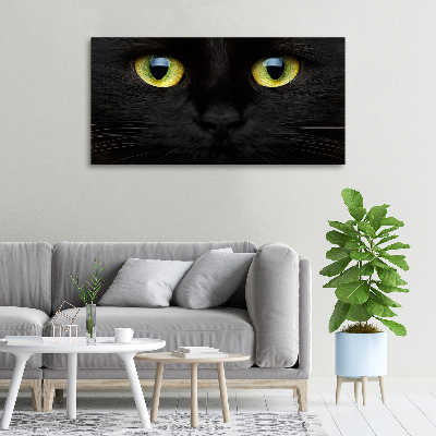 Cuadro canvas con impresión uv duradera horizontal ojos de gato