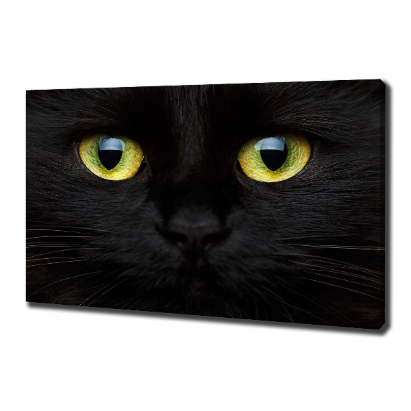 Cuadro canvas con impresión uv duradera horizontal ojos de gato