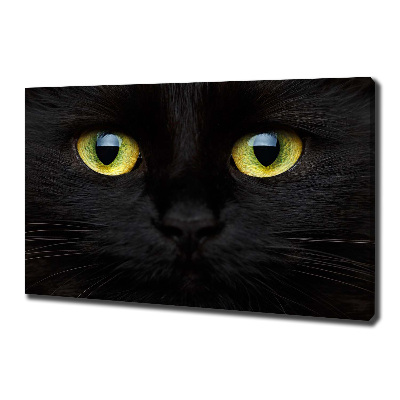 Cuadro canvas con impresión uv duradera horizontal ojos de gato