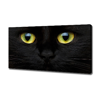 Cuadro canvas con impresión uv duradera horizontal ojos de gato