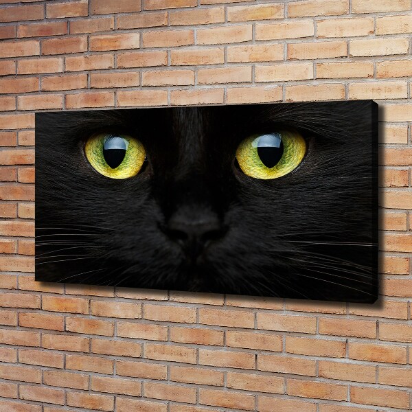Cuadro canvas con impresión uv duradera horizontal ojos de gato