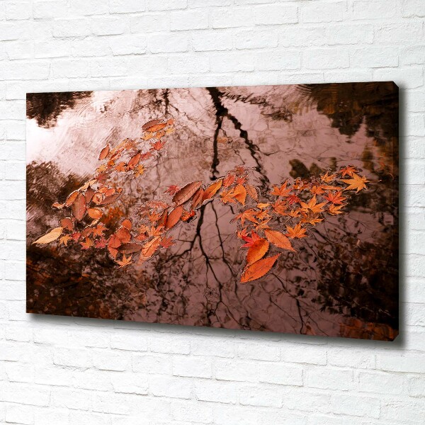 Foto en lienzo con acabado profesional horizontal Hojas en el agua