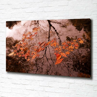 Foto en lienzo con acabado profesional horizontal Hojas en el agua