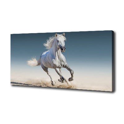 Fotocuadro en lienzo de alta calidad horizontal Un caballo blanco galopando
