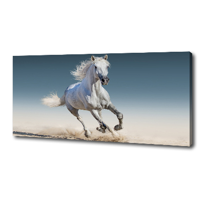 Fotocuadro en lienzo de alta calidad horizontal Un caballo blanco galopando