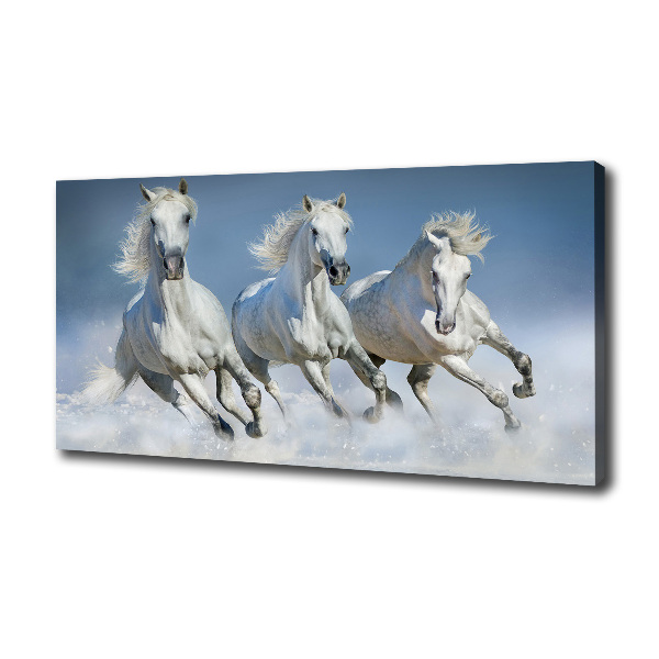 Cuadro canvas con impresión uv duradera horizontal Caballos al galope