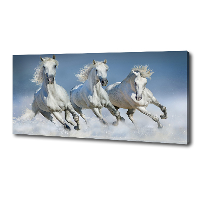 Cuadro canvas con impresión uv duradera horizontal Caballos al galope