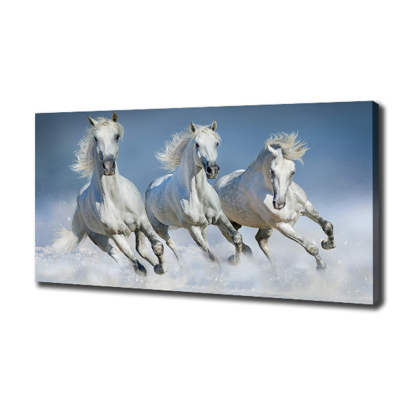 Cuadro canvas con impresión uv duradera horizontal Caballos al galope