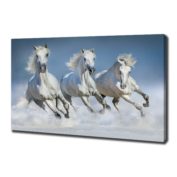 Cuadro canvas con impresión uv duradera horizontal Caballos al galope