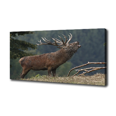 Fotocuadro en lienzo de alta calidad horizontal Ciervos en la colina