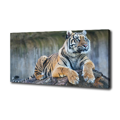 Cuadro canvas moderno de gran formato horizontal Tigre