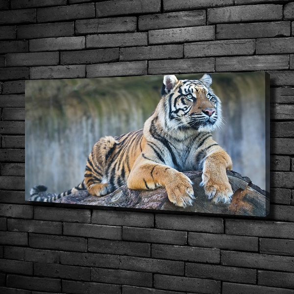 Cuadro canvas moderno de gran formato horizontal Tigre
