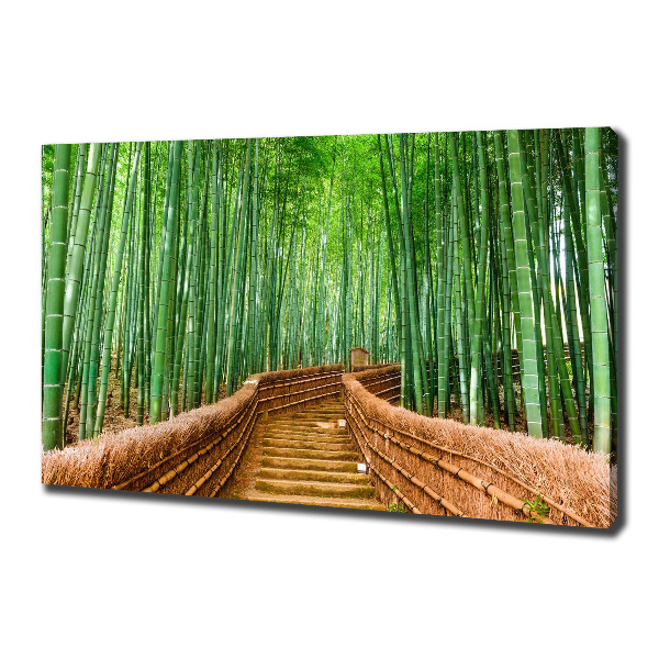 Cuadro canvas moderno de gran formato horizontal bosque de bambú