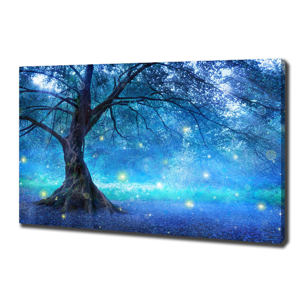 Cuadro canvas con impresión uv duradera horizontal Bosque misterioso